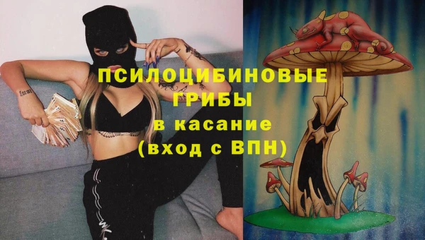 соль ск Алексеевка