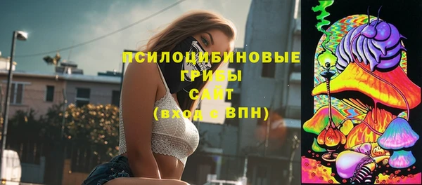 соль ск Алексеевка